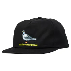 Anti-Hero Lil Pigeon Snapback Hat